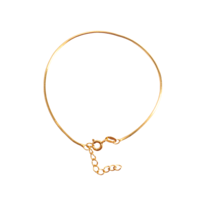 Snake Chain Bracelet in Silver