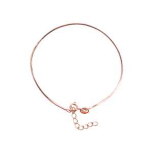 Snake Chain Bracelet in Silver