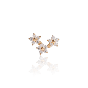 14K Yellow Gold Screw Back Earring